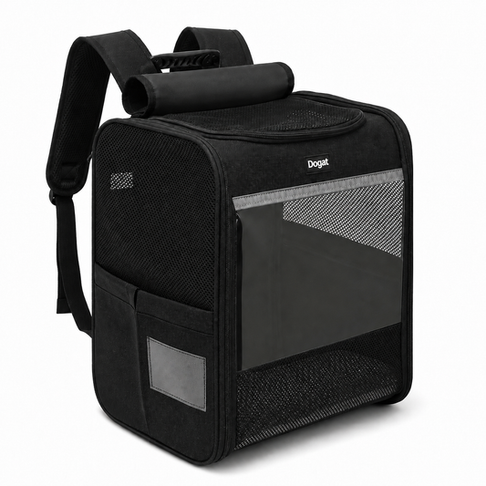 Kattendraagtas Comfort