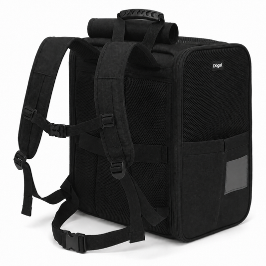Kattendraagtas Comfort